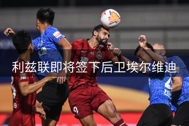 利兹联即将签下后卫埃尔维迪