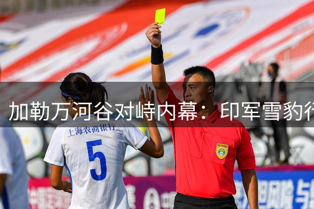加勒万河谷对峙内幕：印军雪豹行动为何紧急叫停
