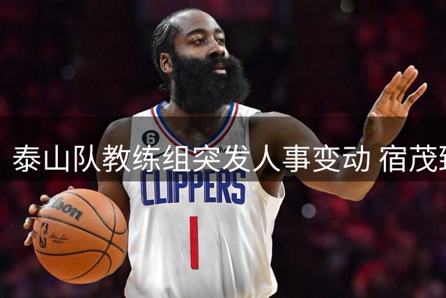 泰山队教练组突发人事变动 宿茂臻韩鹏离任唐田暂掌帅印