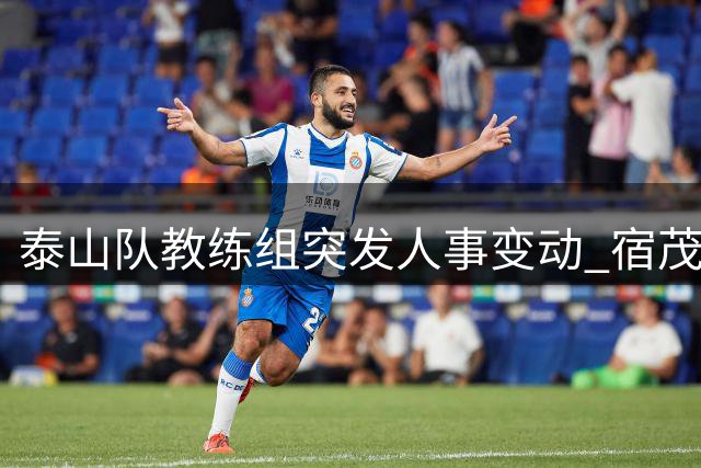 泰山队教练组突发人事变动 宿茂臻韩鹏离任唐田暂掌帅印