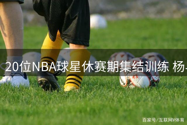 20位NBA球星休赛期集结训练 杨与AD领衔豪华阵容