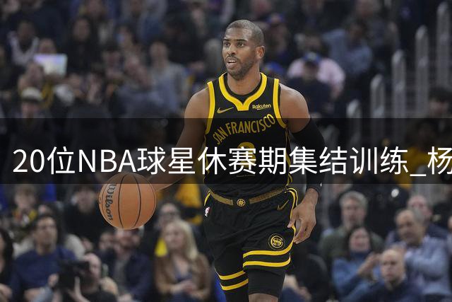 20位NBA球星休赛期集结训练 杨与AD领衔豪华阵容